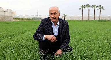 Deneme amaçlı ekilen atalık karakılçık buğdayı tohumu boy verdi