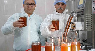 Doğal bal da 'TA' damgası yol gösterici olacak