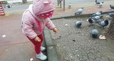 Elindeki krakeri güvercinlerle paylaştı