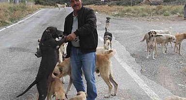 Emekli olunca kendisini sokak köpeklerine adadı