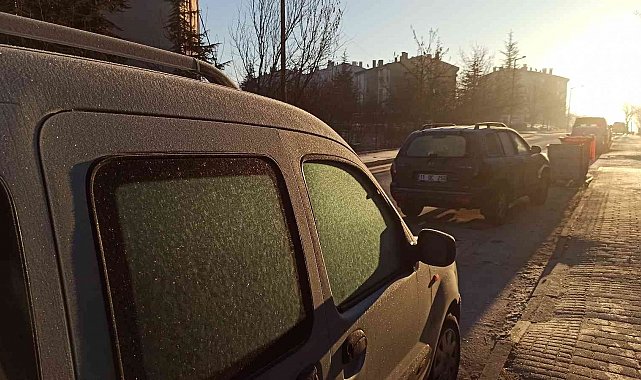 Eskişehir'de soğuyan hava kırağıyı beraberinde getirdi