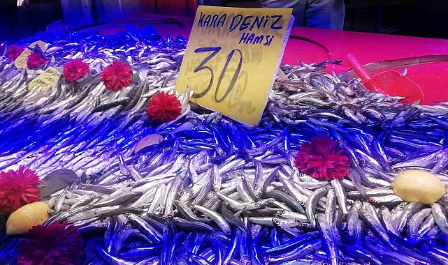 Hamside bolluk başladı, fiyatlar düştü