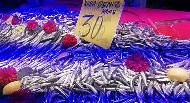 Hamside bolluk başladı, fiyatlar düştü