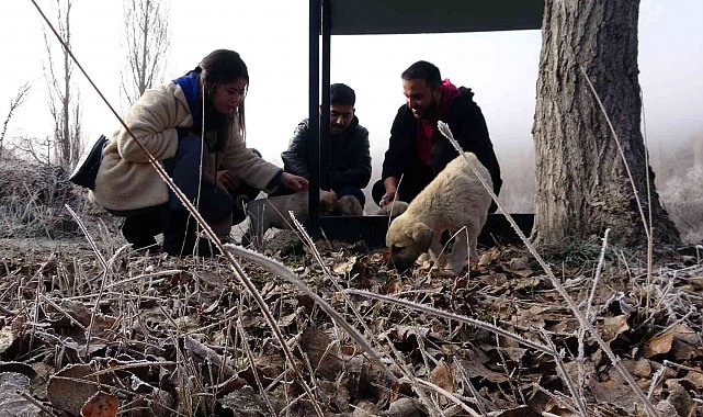 Hem israfın önüne geçiyorlar hem de sokak hayvanlarına 'hayat' oluyorlar