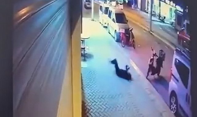 İkinci kattan düşen kadın hayatını kaybetti