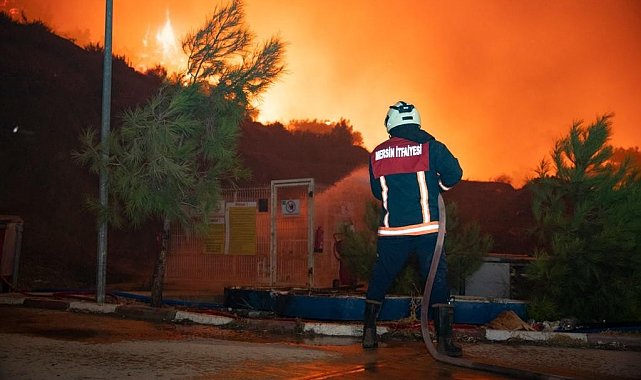 İtfaiye Daire Başkanı Aydın: "Yangınlarla canla başla müdahale ettik"