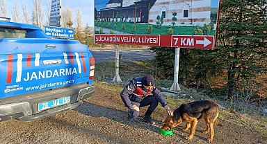 Jandarma ekiplerinden sokak hayvanlarına yönelik örnek davranış
