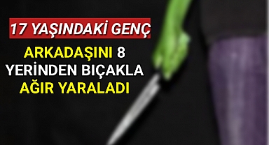Karaman'da Arkadaşını 8 Yerinden Bıçakla Ağir Yaraladı