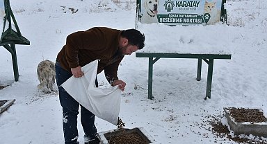 Karatay Belediyesi sokak hayvanlarını unutmadı