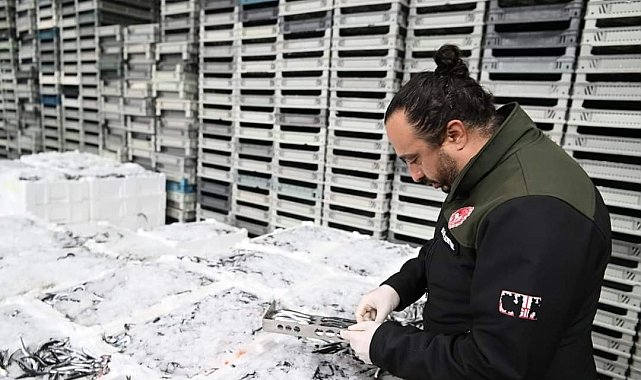 Kayseri'de eş zamanlı "balık" denetimi