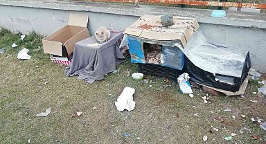 Kediler üşümesin diye kartondan evler yaptılar