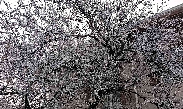 Kırşehir'i sis kapladı