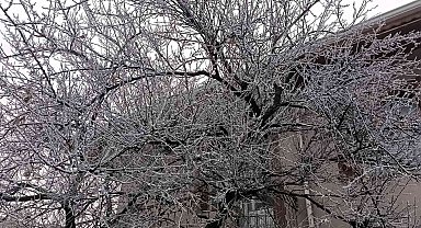 Kırşehir'i sis kapladı