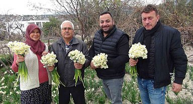 Kışta baharı yaşatan nergis çiçekleri 150 liradan 50 liraya düştü