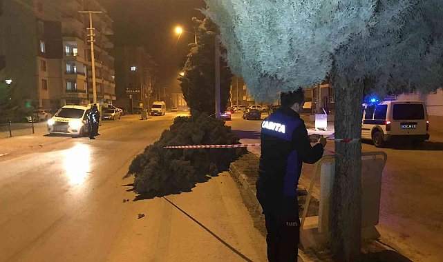 Konya'da şiddetli rüzgar ağaçları devirdi