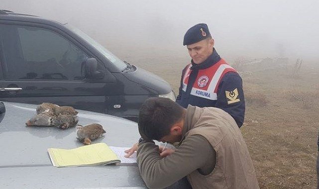 Koruma altındaki keklikleri vurdular, cezadan kaçamadılar