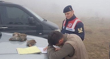 Koruma altındaki keklikleri vurdular, cezadan kaçamadılar
