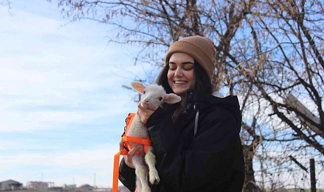 Koyunun kuzusuna yapmadığı anneliği sahibi yaptı