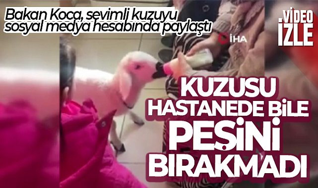 Kuzusu hastanede bile peşini bırakmadı