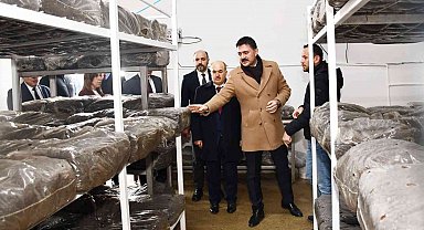 Madde bağımlıları bu köyde tedavi ediliyor