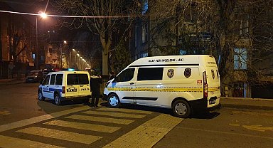 Maganda kurşunu 2 eve isabet etti