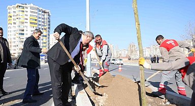 Melikgazi ilçeyi devasa ağaçlarla yeşillendirmeye devam ediyor