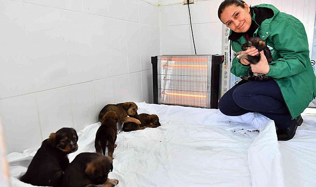 Mersin'de bin 100 patili dosta sıcak yuva sağlandı