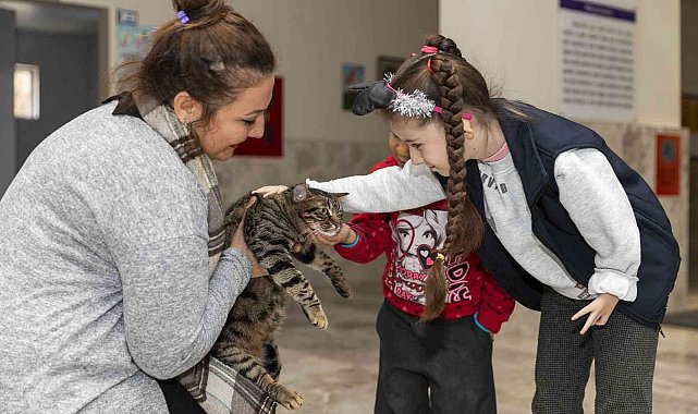 Minik Ela'ya 'kedi evi' sürprizi