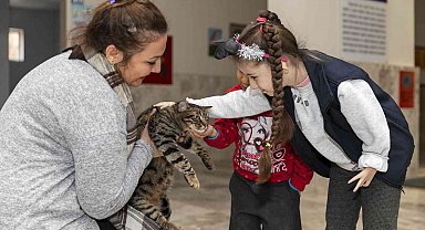 Minik Ela'ya 'kedi evi' sürprizi