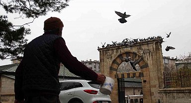 Sivas'taki kuş vakfiyesi 8 asırdır ayakta