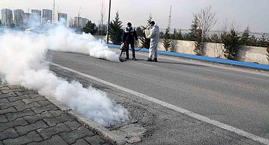 Talas'ta sinek ve haşerata erken önlem