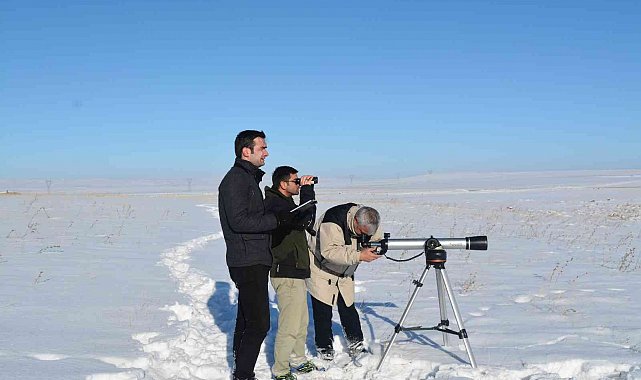 Tarım ve Orman Bakanlığı Kış Ortası Su Kuşu Sayımını 15 Ocak - 15 Şubat tarihlerinde yapacak