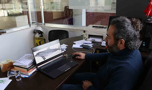 Uzmanından korkutan uyarı: "Yunus balıkları, önlem alınmazsa nesli tükenme tehlikesi altına girebilir"