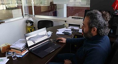 Uzmanından korkutan uyarı: "Yunus balıkları, önlem alınmazsa nesli tükenme tehlikesi altına girebilir"