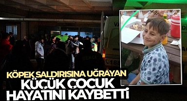 Van’da köpek saldırısına uğrayan küçük çocuk hayatını kaybetti