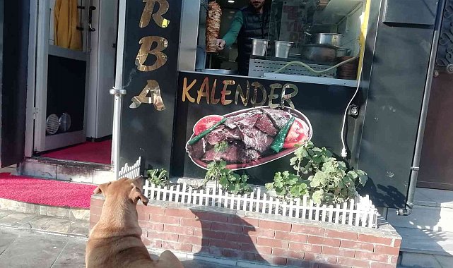 Yemek bekleyen sokak köpeğini geri çevirmediler