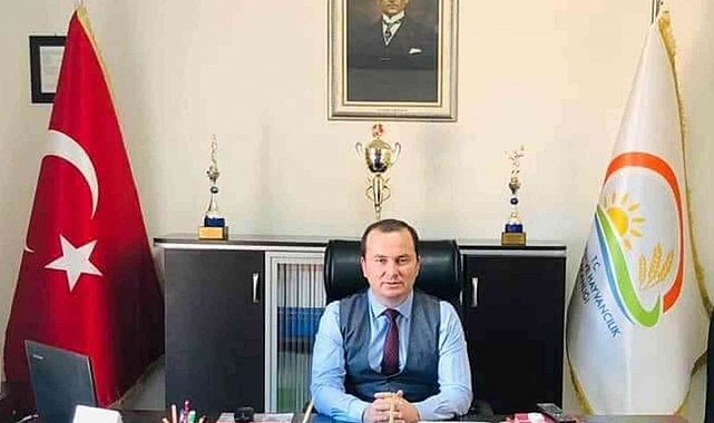 Zeytinde hasat sona erdi, üreticinin yüzü güldü