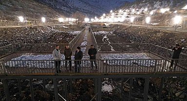 Zincidere 100. Yıl Mesire alanı Gece Işıl Işıl