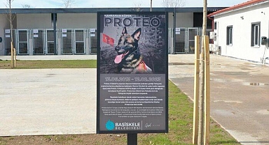 Meksikalı arama kurtarma köpeği Proteo'nun adı rehabilitasyon merkezinde yaşatılacak