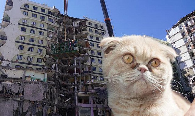 Yıkım sırasında fark edilmiş helikopter desteği istenmişti! Sayı 13 oldu... Çalışmalar sona erdi