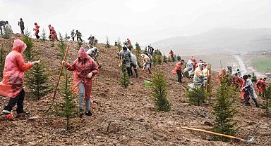 6 Şubat 2023 Deprem Şehitleri Hatıra Ormanı'nda 435 fidan toprakla buluştu