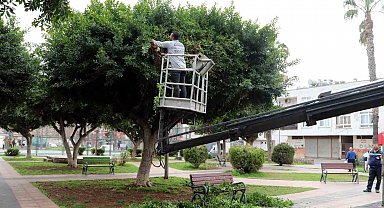 Akdeniz'de park, bahçe ve yeşil alanlar yenileniyor