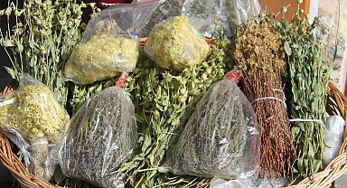 Anamas Dağı'ndan toplanan bitkiler rağbet görüyor