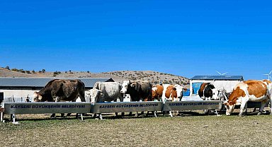Başkan Büyükkılıç'tan 4 yılda 226 milyon TL'lik 'tarım ve hayvancılık' atılımı