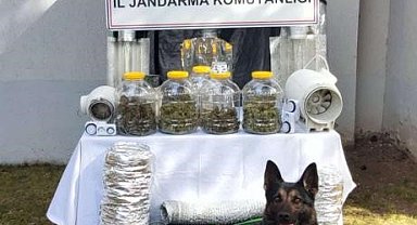 Başkentte uyuşturucu operasyonu