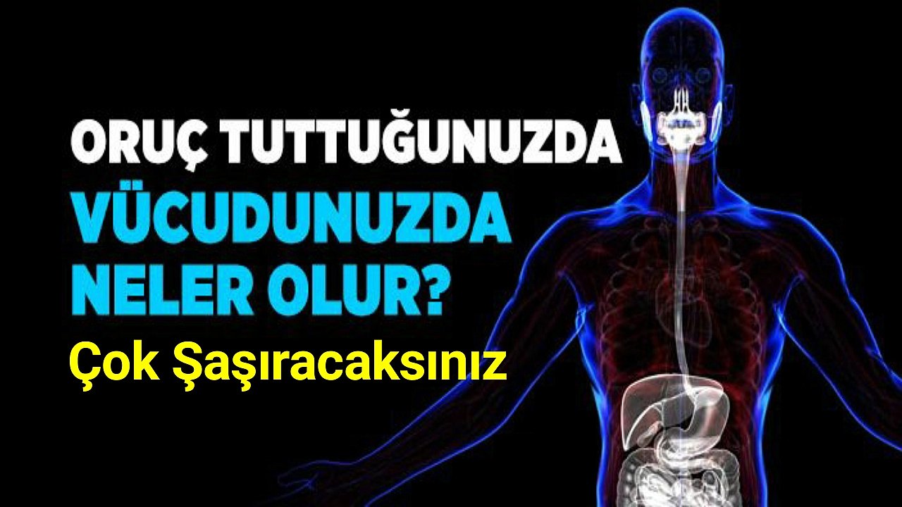 Bir ay (Ramazan) boyunca oruç tutulduğunda vücutta neler olur?