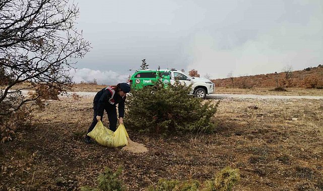 Çankırı'da hayvanlar için doğaya buğday bırakıldı