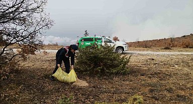 Çankırı'da hayvanlar için doğaya buğday bırakıldı