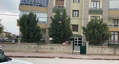 Cinnet getiren kişi annesini bıçaklayarak ağır yaraladı