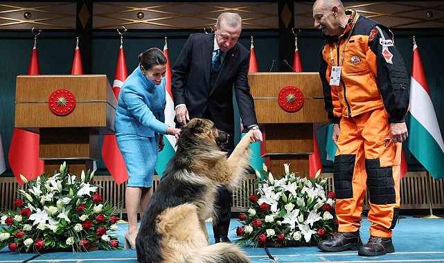 Cumhurbaşkanı Erdoğan: "TANAP'tan Macaristan'a doğalgaz göndermeye hazırız"
